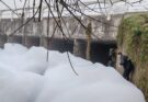 Se realizan análisis para determinar el origen de la espuma detectada en el arroyo Ceibal