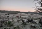 Inumet pronosticó un fin de semana “gélido” con heladas, graupel y posible agua nieve