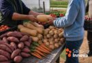 Producir mejor y vender mejor: el Gobierno de Salto impulsa una nueva etapa de transición agroecológica
